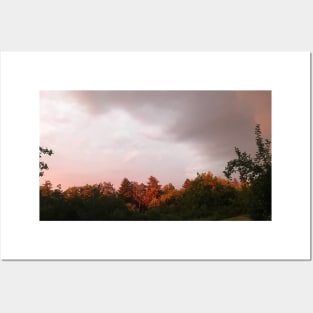 Natural color splendor of the sky before storm with red trees sun reflection Posters and Art